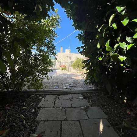 Trulli Cocolicchio Holiday home Selva Di Fasano