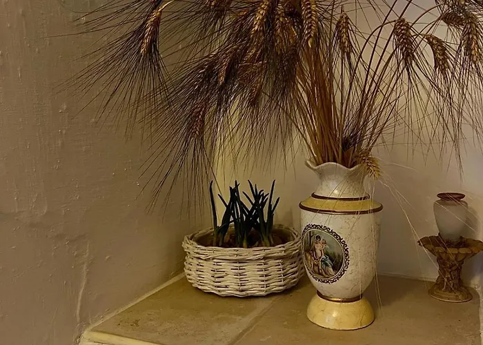 Trulli Cocolicchio Selva Di Fasano