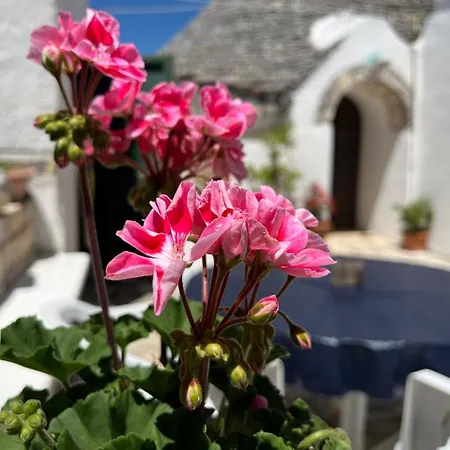 Trulli Cocolicchio Tatil Evi